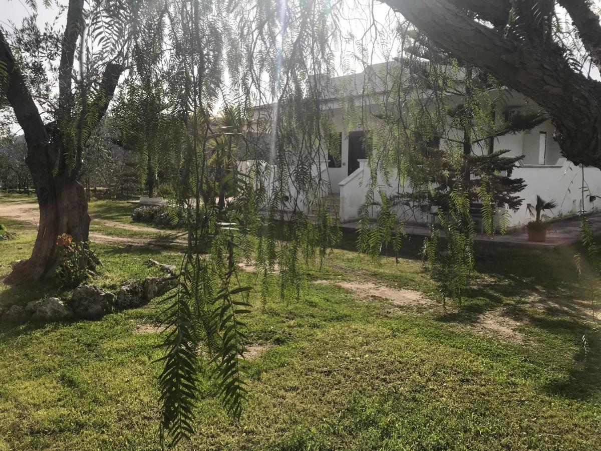 Villa Angela Case Vacanza Vieste Exterior foto