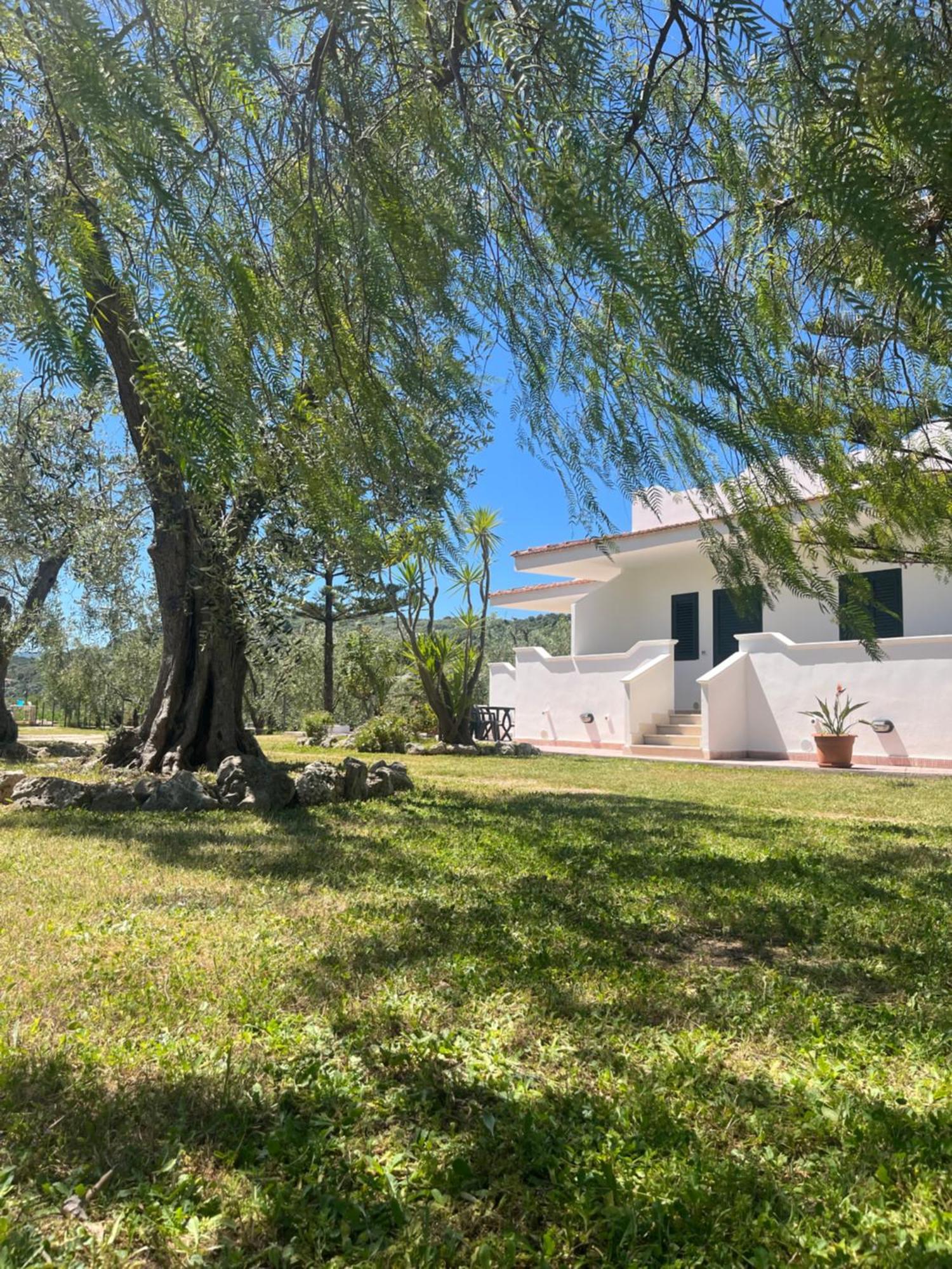 Villa Angela Case Vacanza Vieste Exterior foto